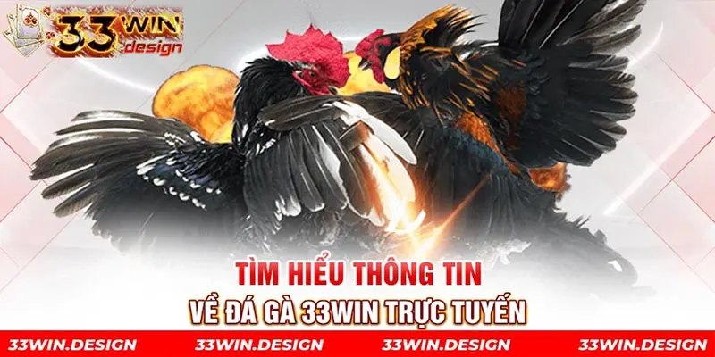 Tìm hiểu thông tin về đá gà 33win trực tuyến