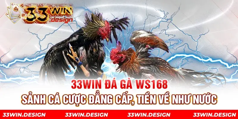 33win Đá Gà WS168 - Sảnh Cá Cược Đẳng Cấp, Tiền Về Như Nước