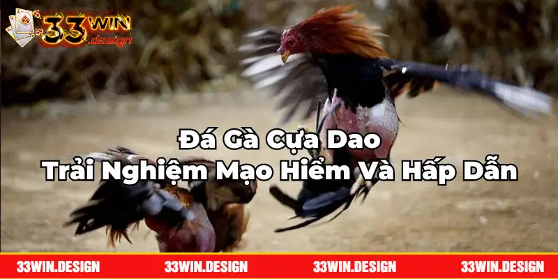 Đá Gà Cựa Dao - Trải Nghiệm Mạo Hiểm Và Hấp Dẫn Tại 3win